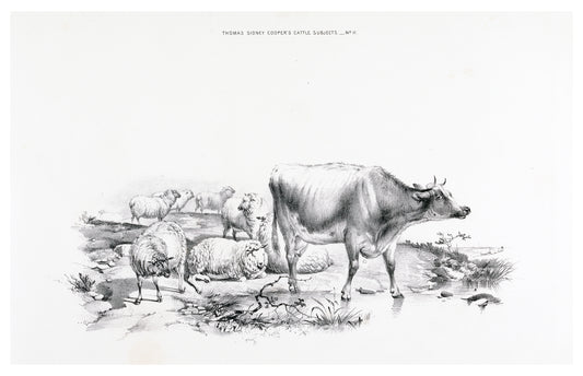 Thomas Sidney Cooper - Thomas Sydney Cooper’s cattle subjects Pl.11 Poster