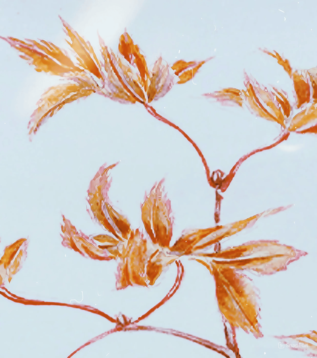 Megata Morikaga: A Visionary Diplomat and Cultural Bridge - Hakyarts