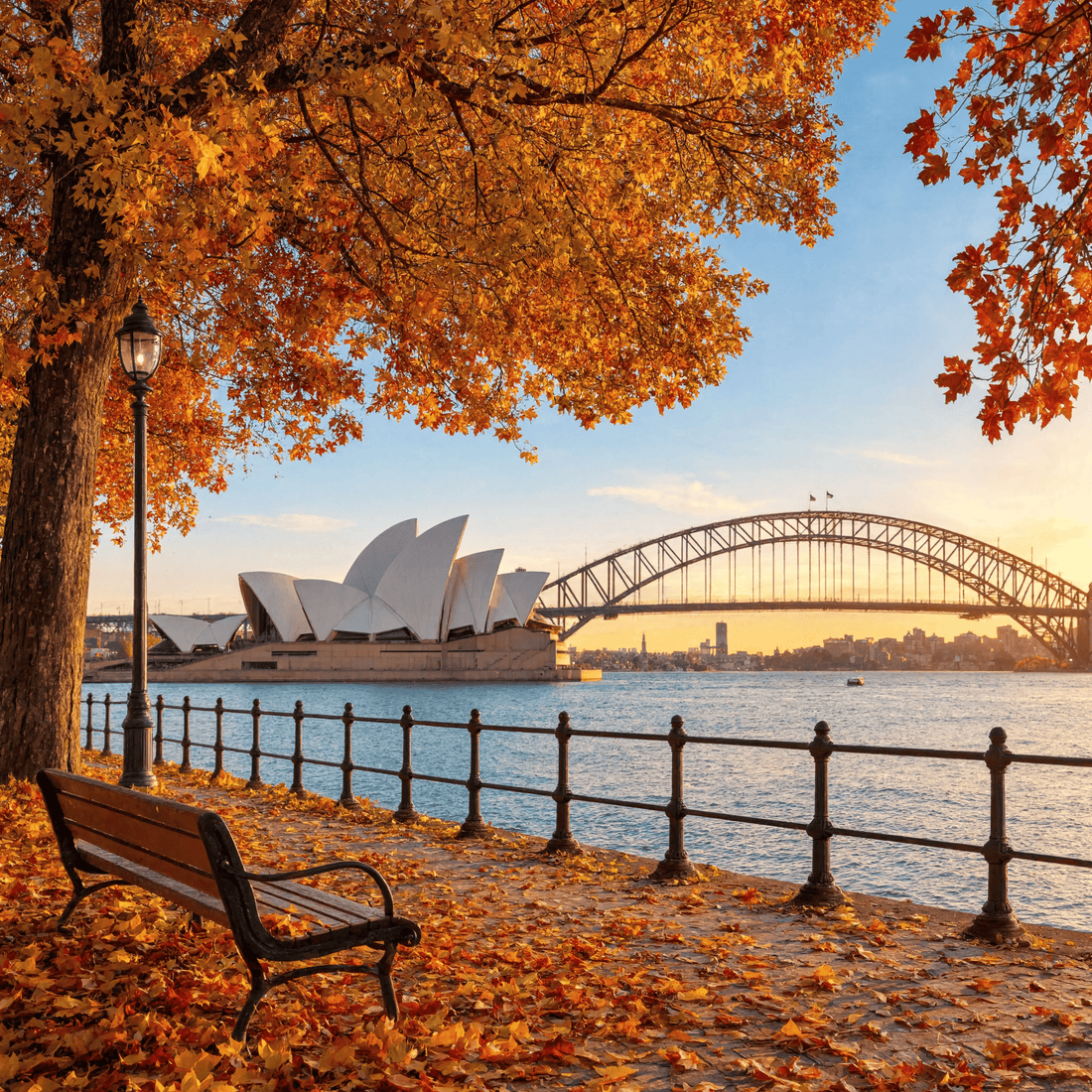 Sydney Art Exhibitions This September and Spring: What to See in 2026