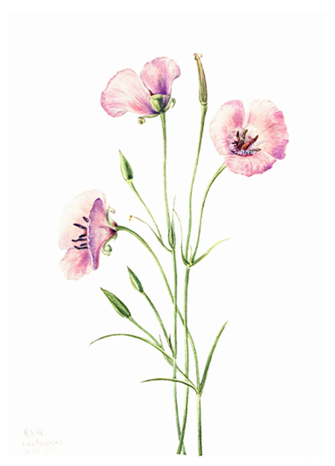 Guida alle dimensioni delle stampe da parete: come scegliere la misura perfetta per ogni ambiente