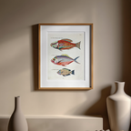 Poissons, Plate 32 by Louis Renard – 18th-Century Natural History Illustration Art Print