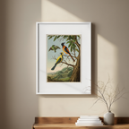 Albert Eckhout – Tuite, Iapui und Caiicupeu caya – Ethnographic Illustration Art Print