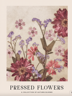 Blooming Botanicals – 6 Floral Prints | Mix & Match Wall Art Collection - Hakyarts