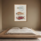 Poissons, Plate 41 by Louis Renard – 18th-Century Natural History Illustration Art Print