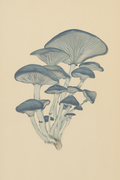 Woodland Harvest – Shiitake Mushroom Study
