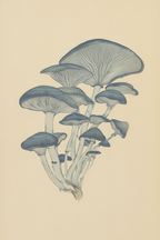 Woodland Harvest – Shiitake Mushroom Study