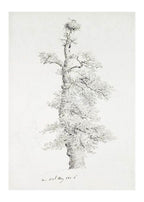 Oak Tree with Stork's Nest - Hakyarts