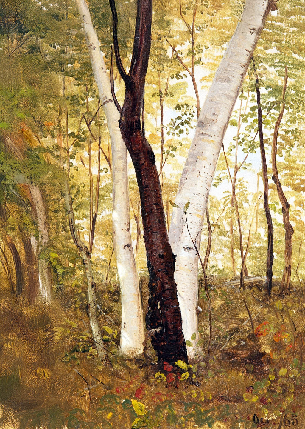 In the Woods, Hudson, New York - Hakyarts