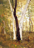 In the Woods, Hudson, New York - Hakyarts