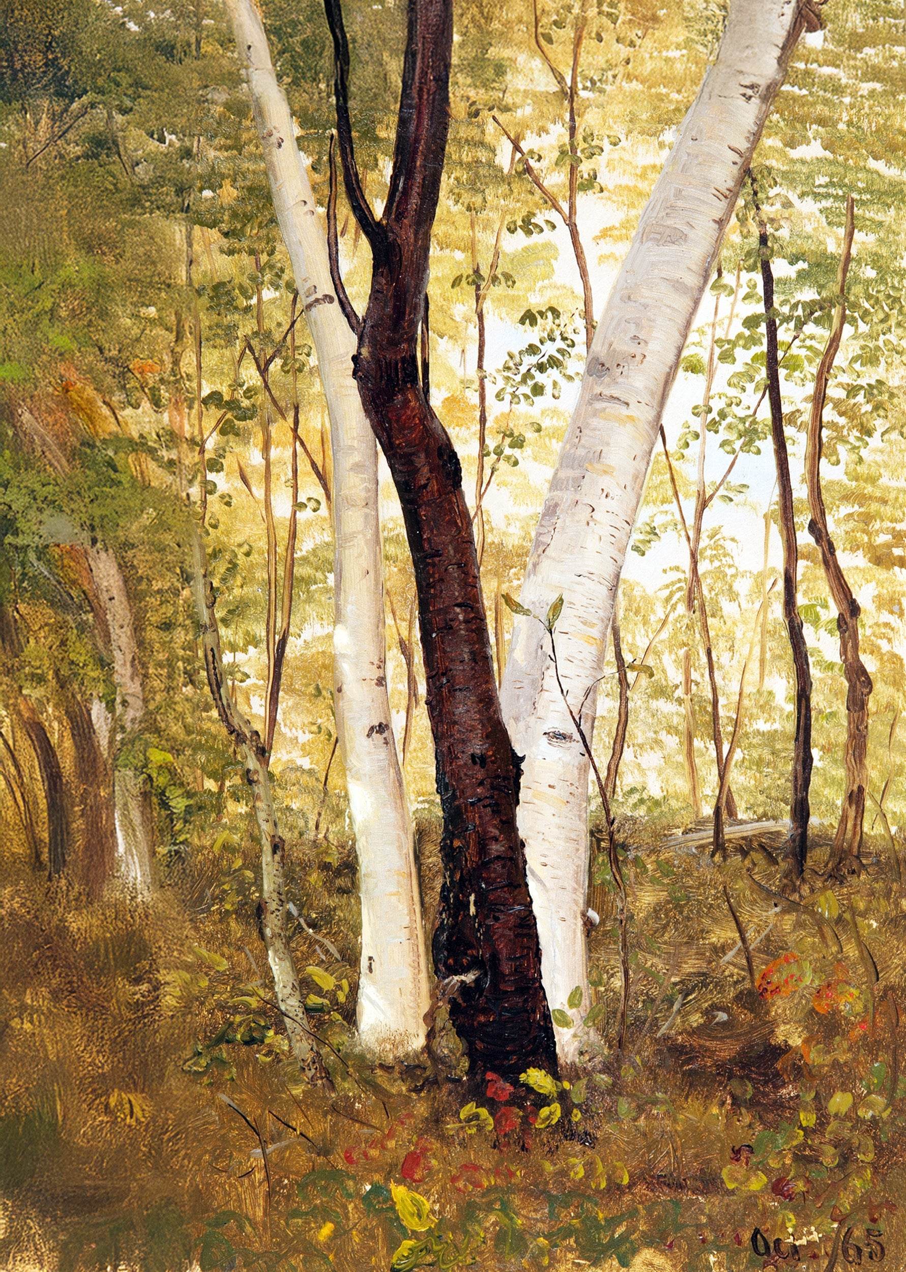 In the Woods, Hudson, New York - Hakyarts