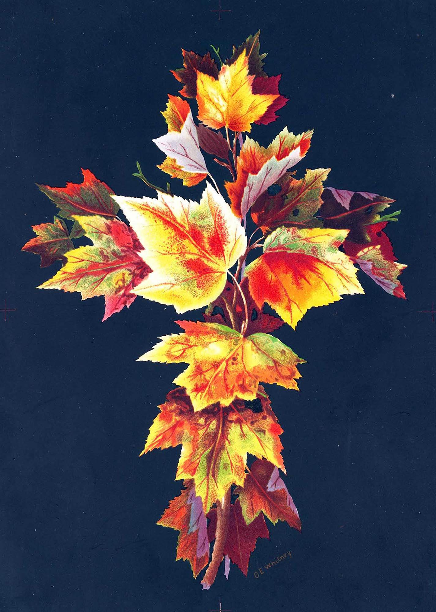 Autumn Leaves - Hakyarts