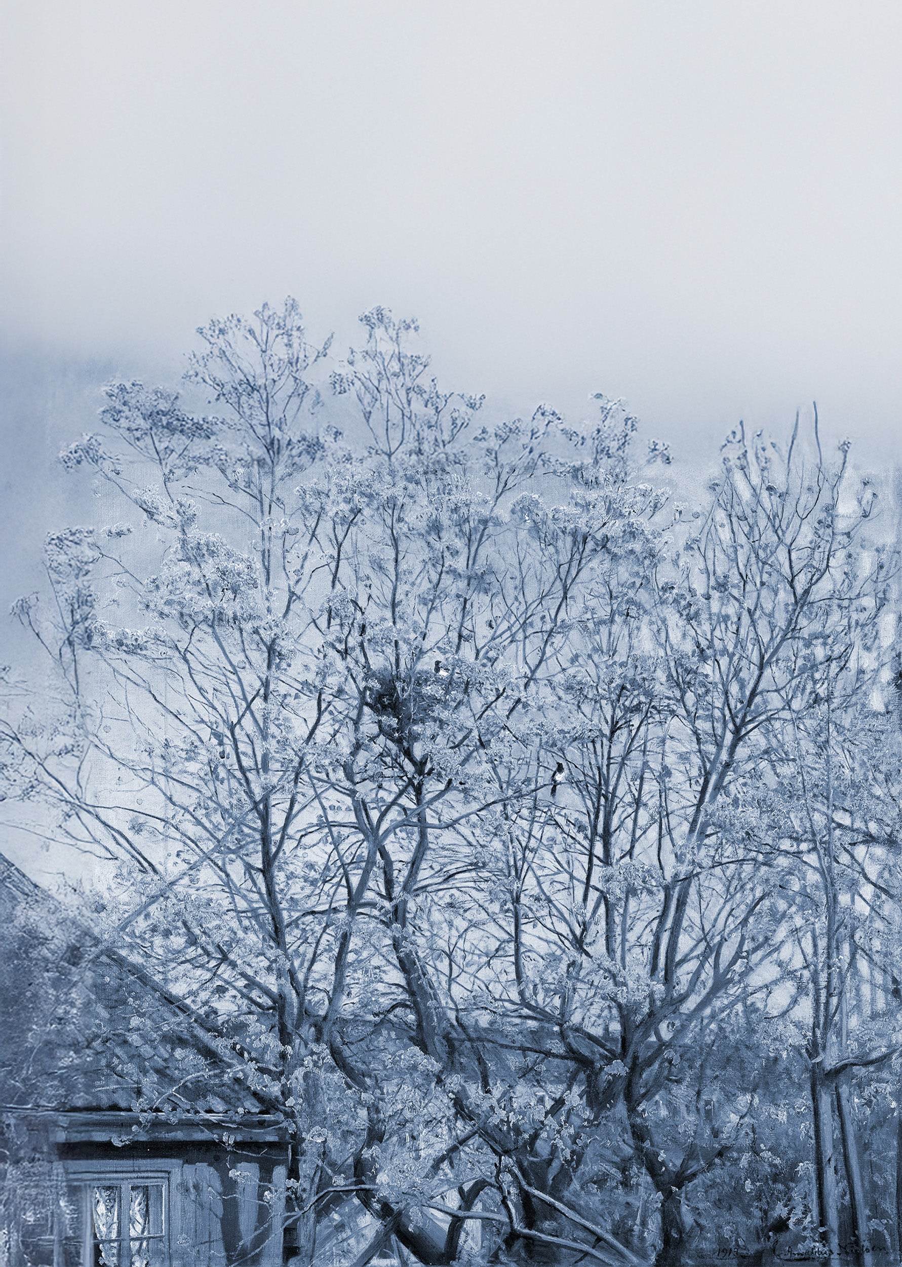 Naboer. Motiv fra ateliervinduet, Majorstuveien 8 - Hakyarts