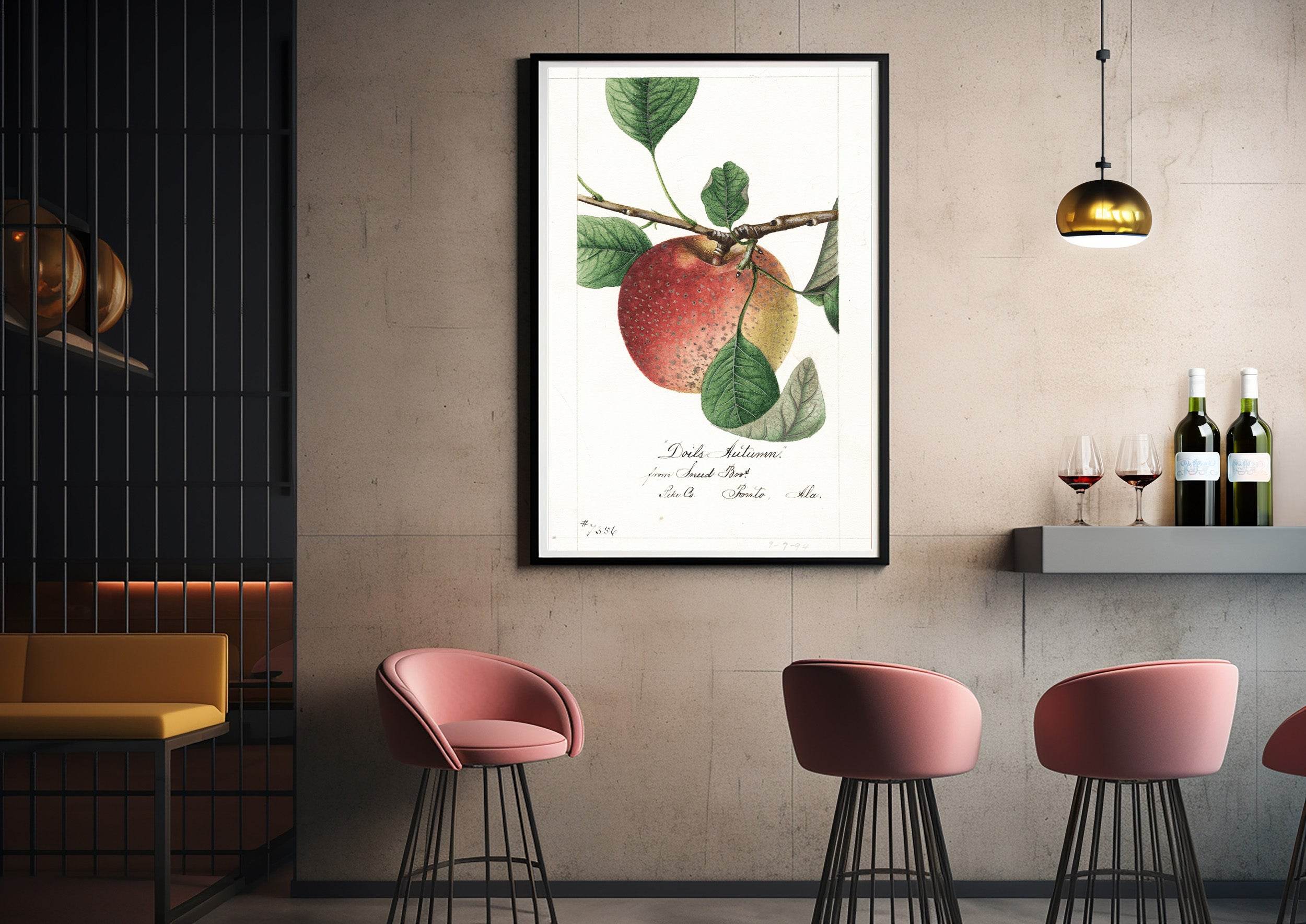 Malus domestica Doils Autumn - Hakyarts