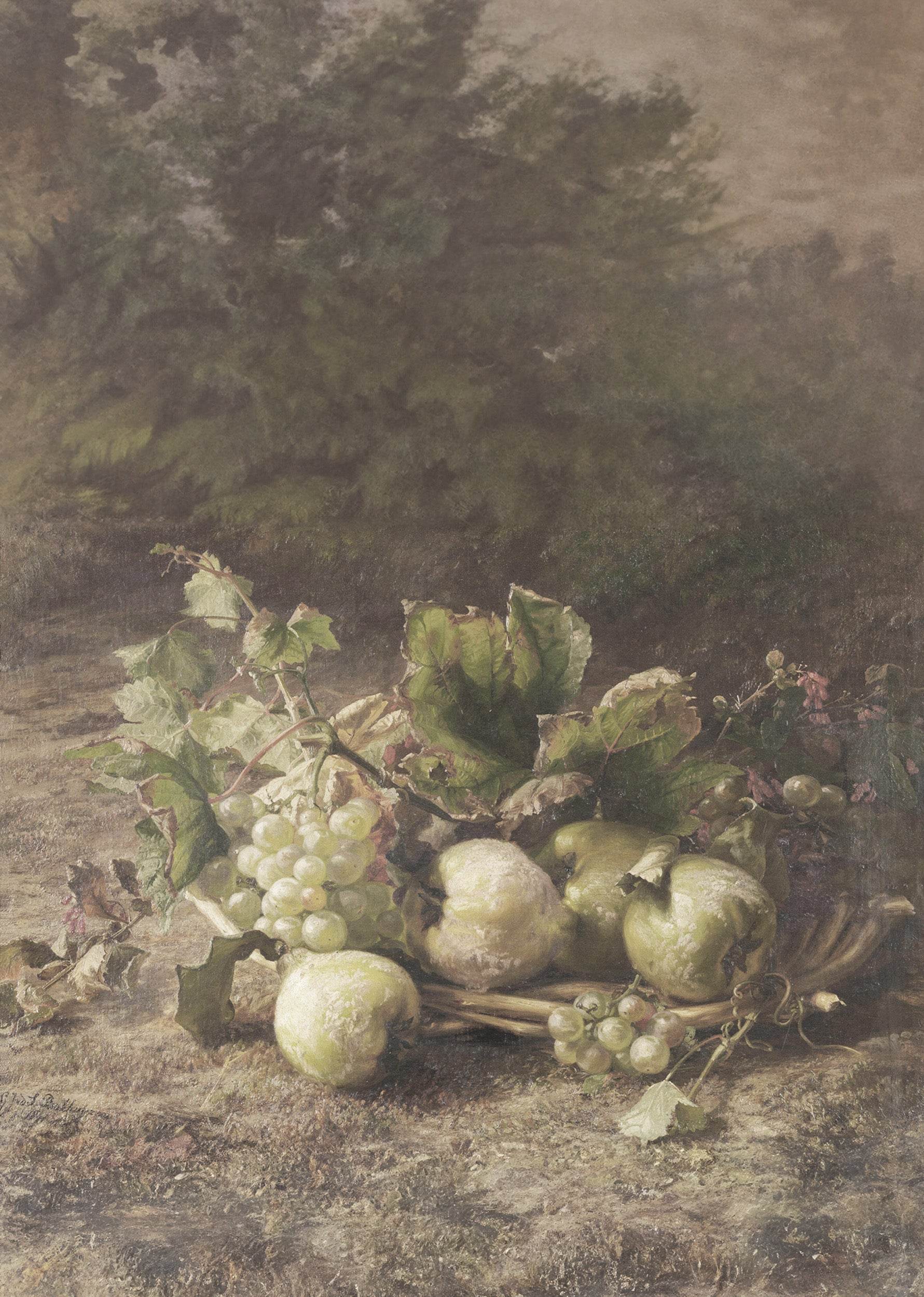 Autumn Fruit - Hakyarts