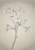 Linework Floral Branch – Minimalist Botanical Illustration Print | Elegant Vintage Wall Art