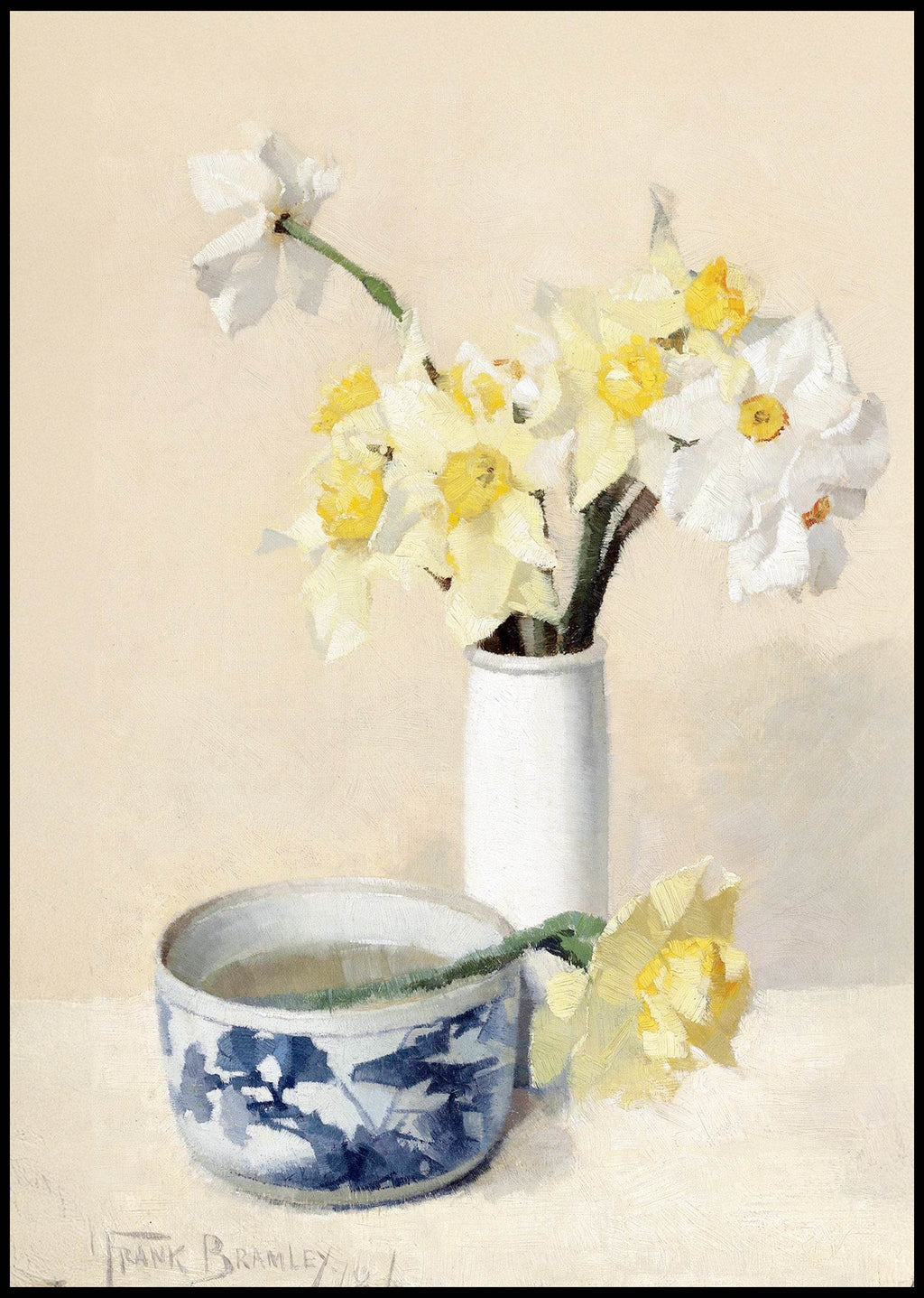 Daffodils and Narcissi - Hakyarts