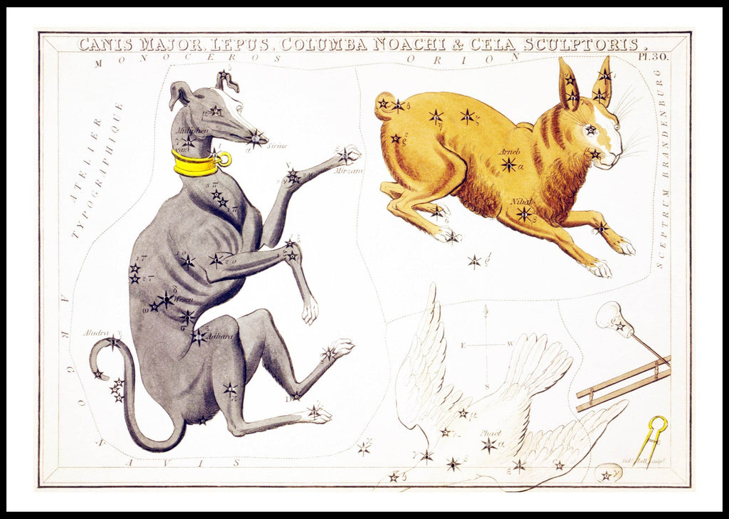 Canis Major, Lepus, Columba Noachi & Cela Sculptoris - Hakyarts