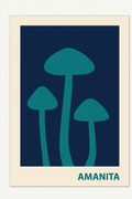 Amanita Mushroom – Minimalist Botanical Art Print for Contemporary Interiors