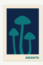 Amanita Mushroom – Minimalist Botanical Art Print for Contemporary Interiors