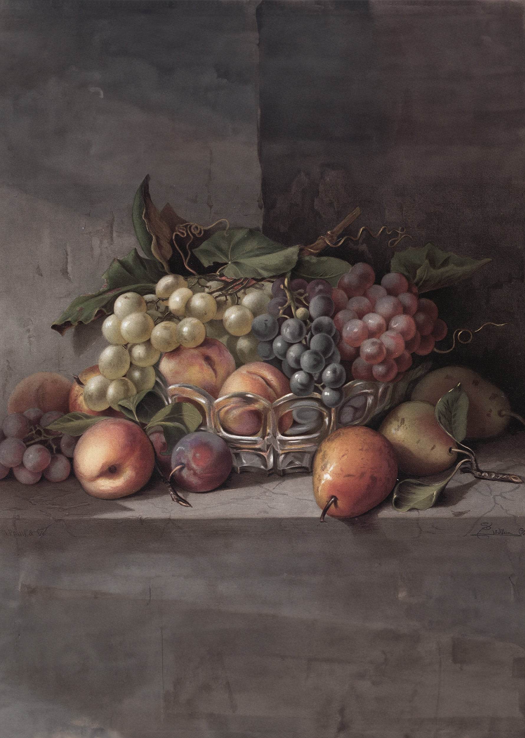 Autumn Fruit - Hakyarts