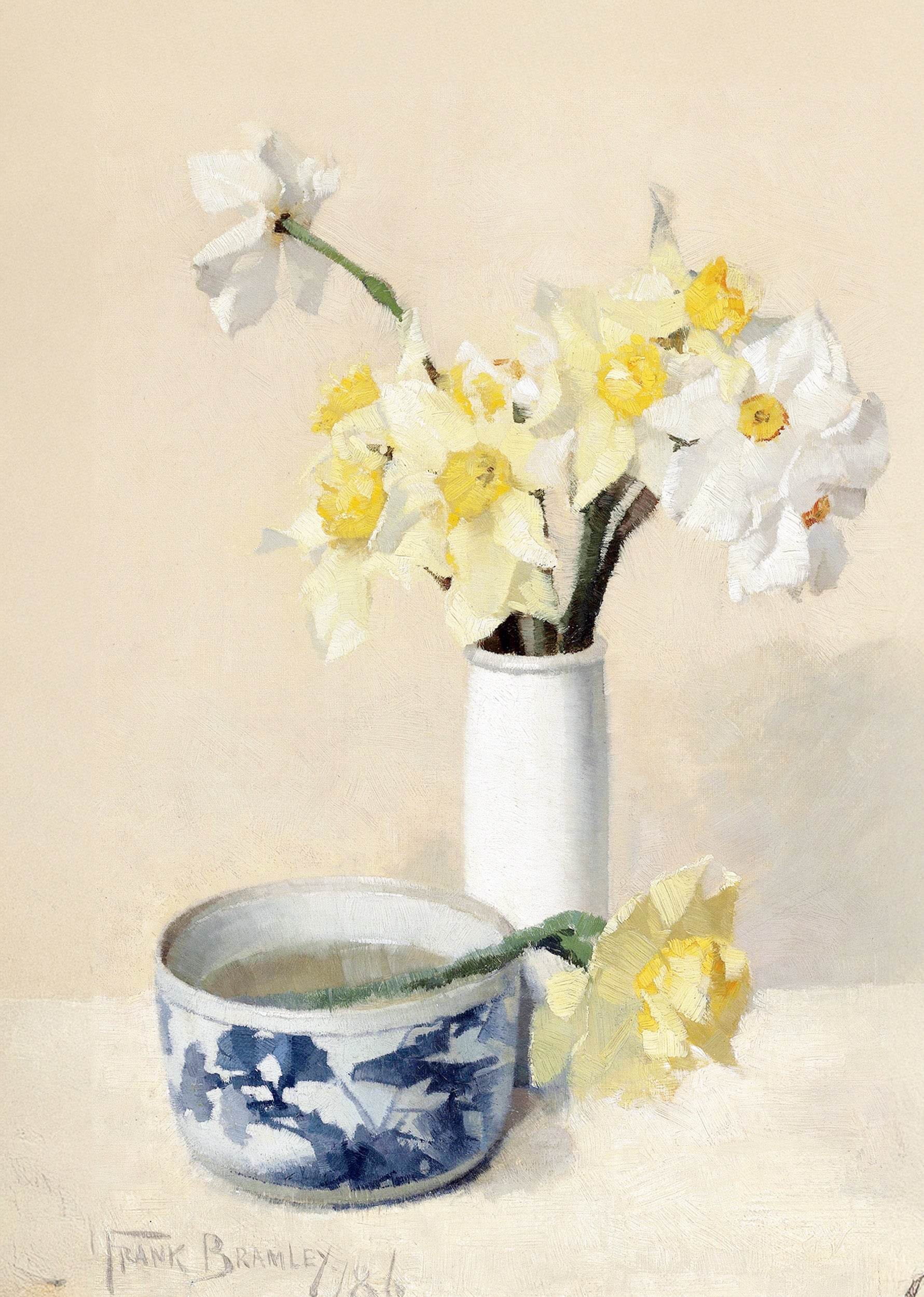 Daffodils and Narcissi - Hakyarts