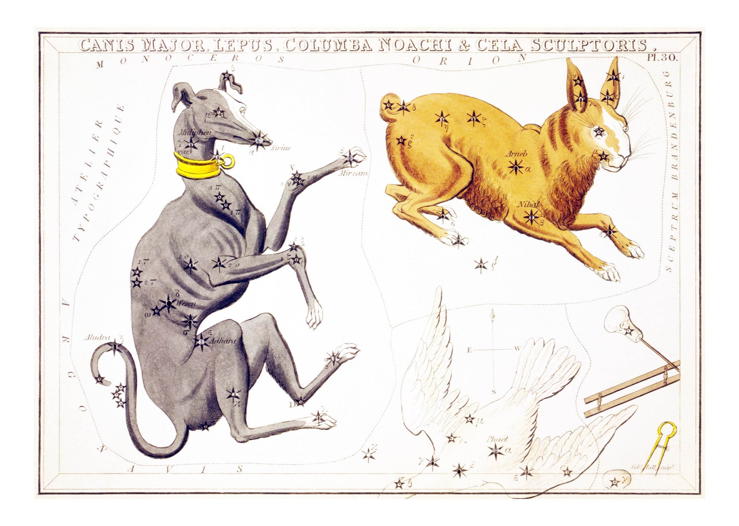 Canis Major, Lepus, Columba Noachi & Cela Sculptoris - Hakyarts