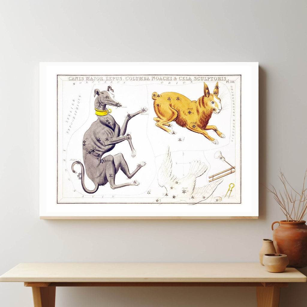 Canis Major, Lepus, Columba Noachi & Cela Sculptoris - Hakyarts