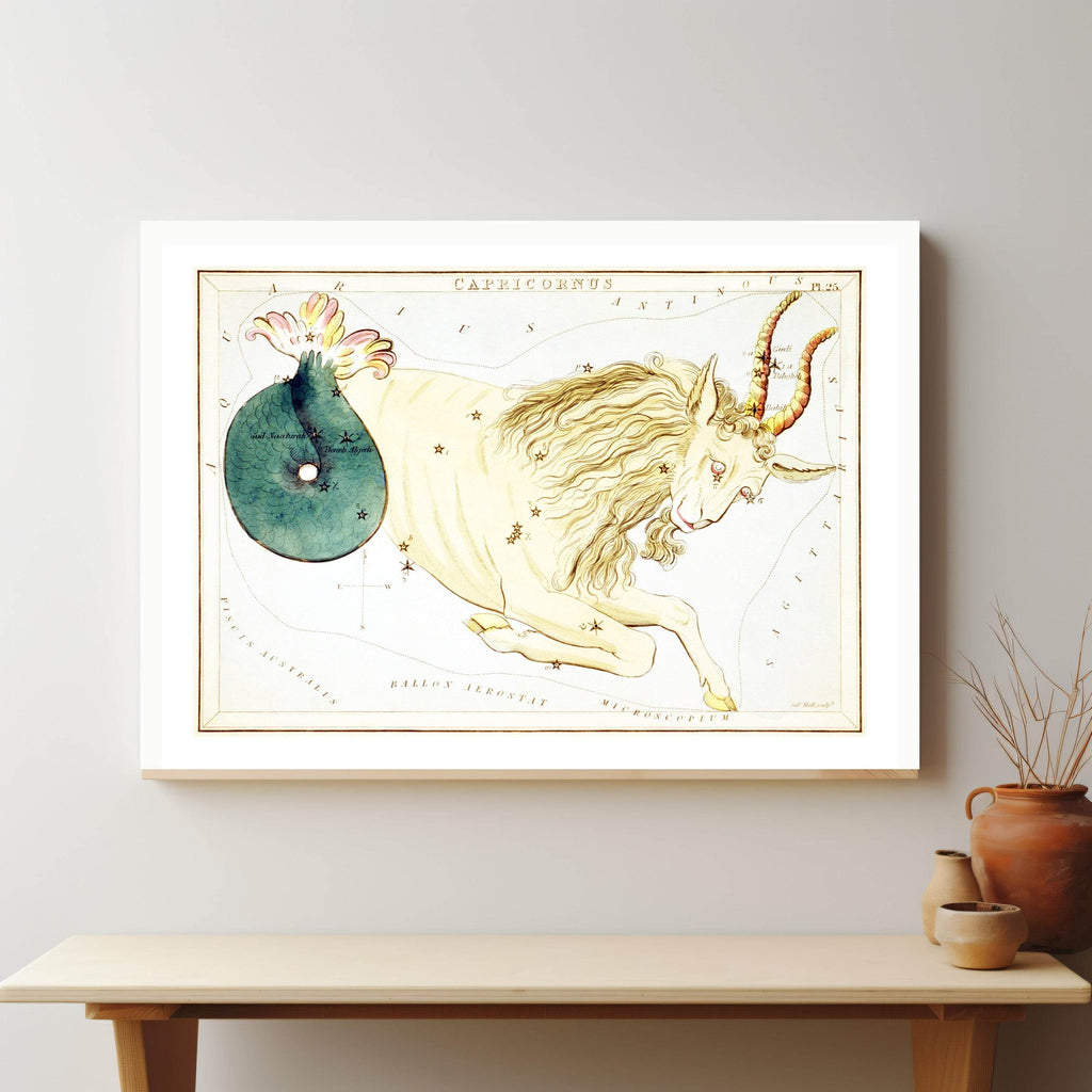 Capricornus - Hakyarts