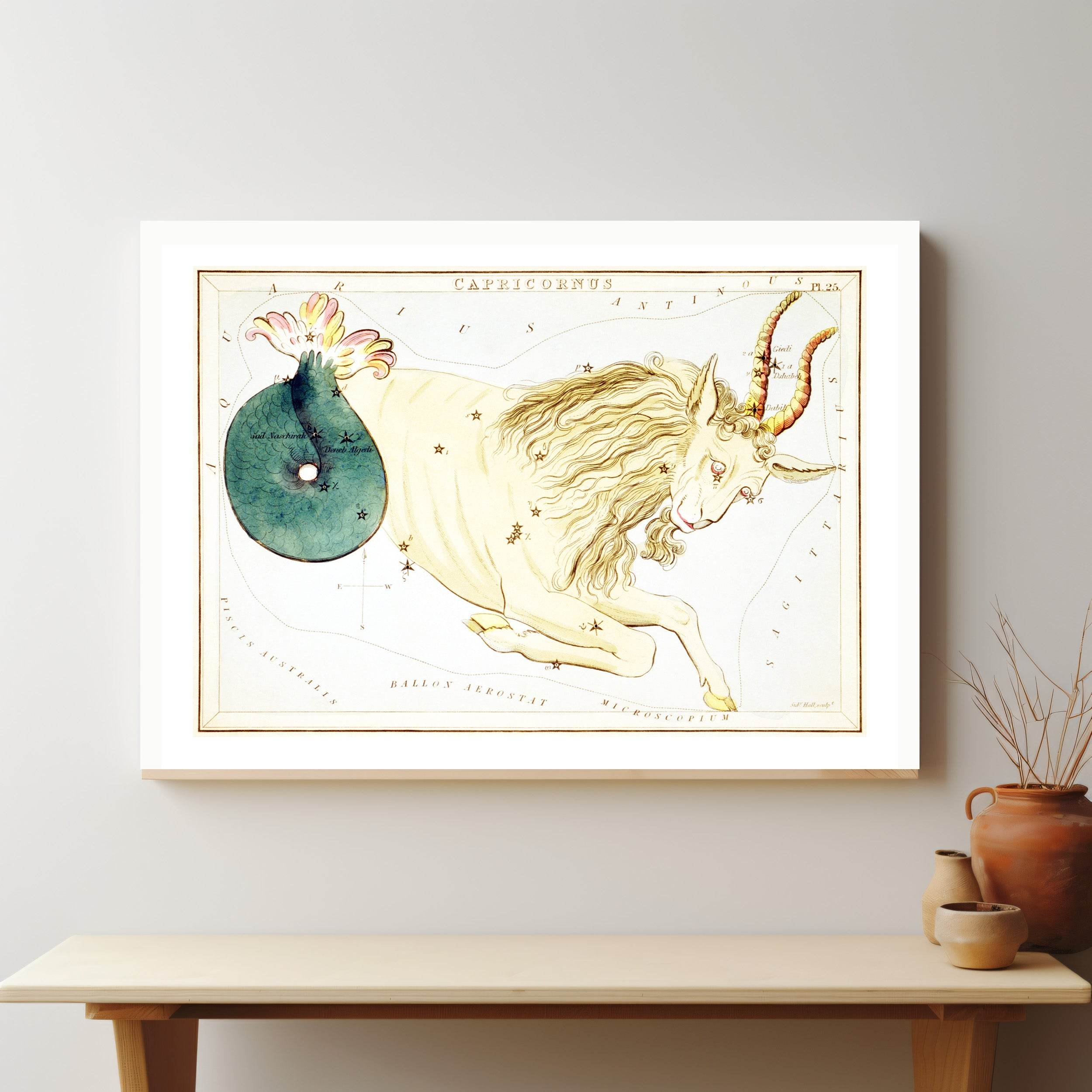 Capricornus - Hakyarts