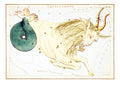 Capricornus - Hakyarts