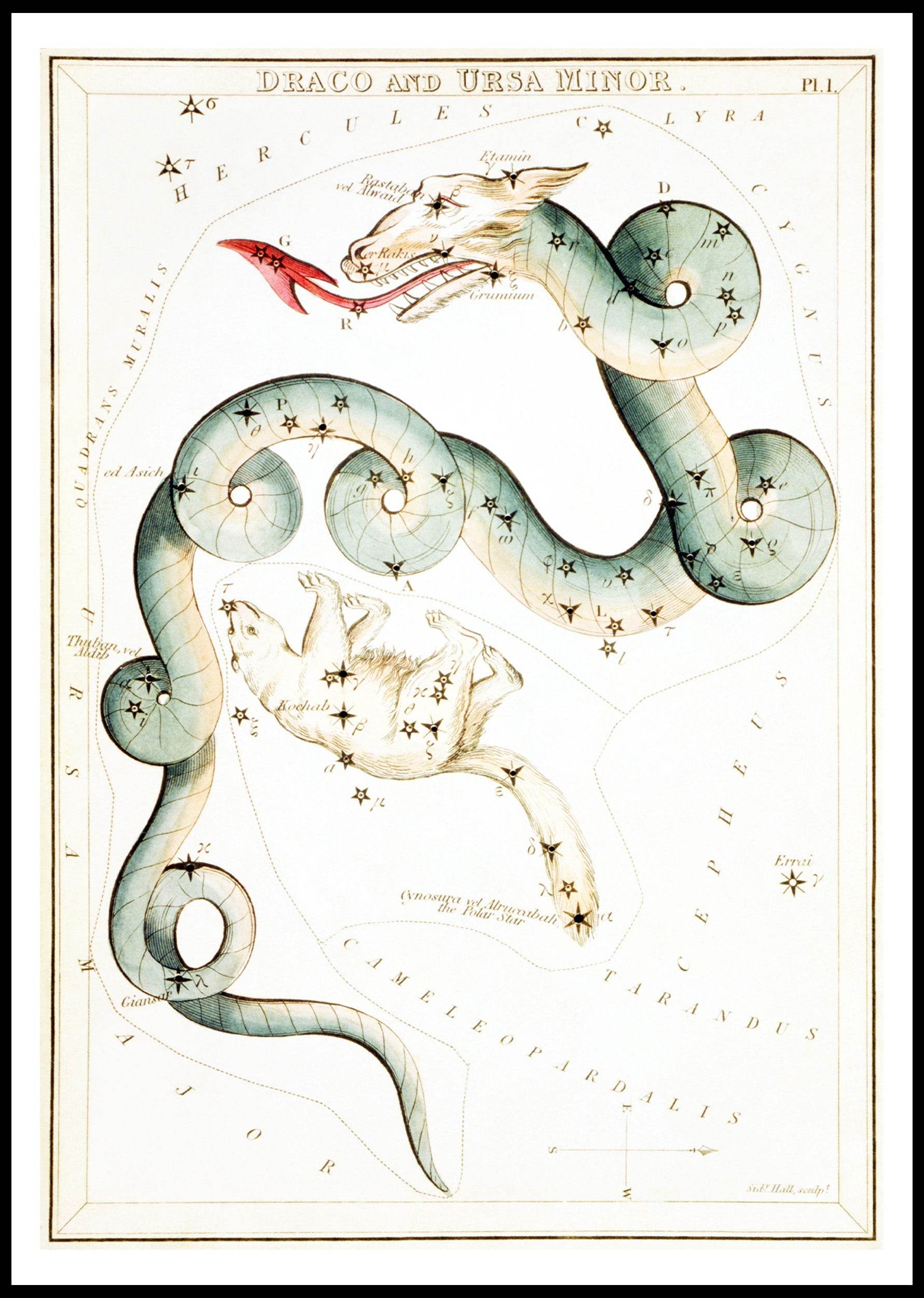 Draco and Ursa - Hakyarts