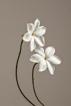 7 Floral Blooms – Mix & Match Art Prints Collection - Hakyarts
