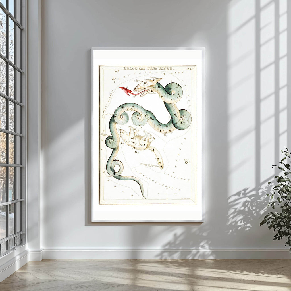 Draco and Ursa - Hakyarts