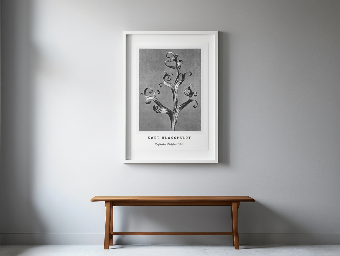 Karl Blossfeldt - Delphinium 'Larkspur' Poster