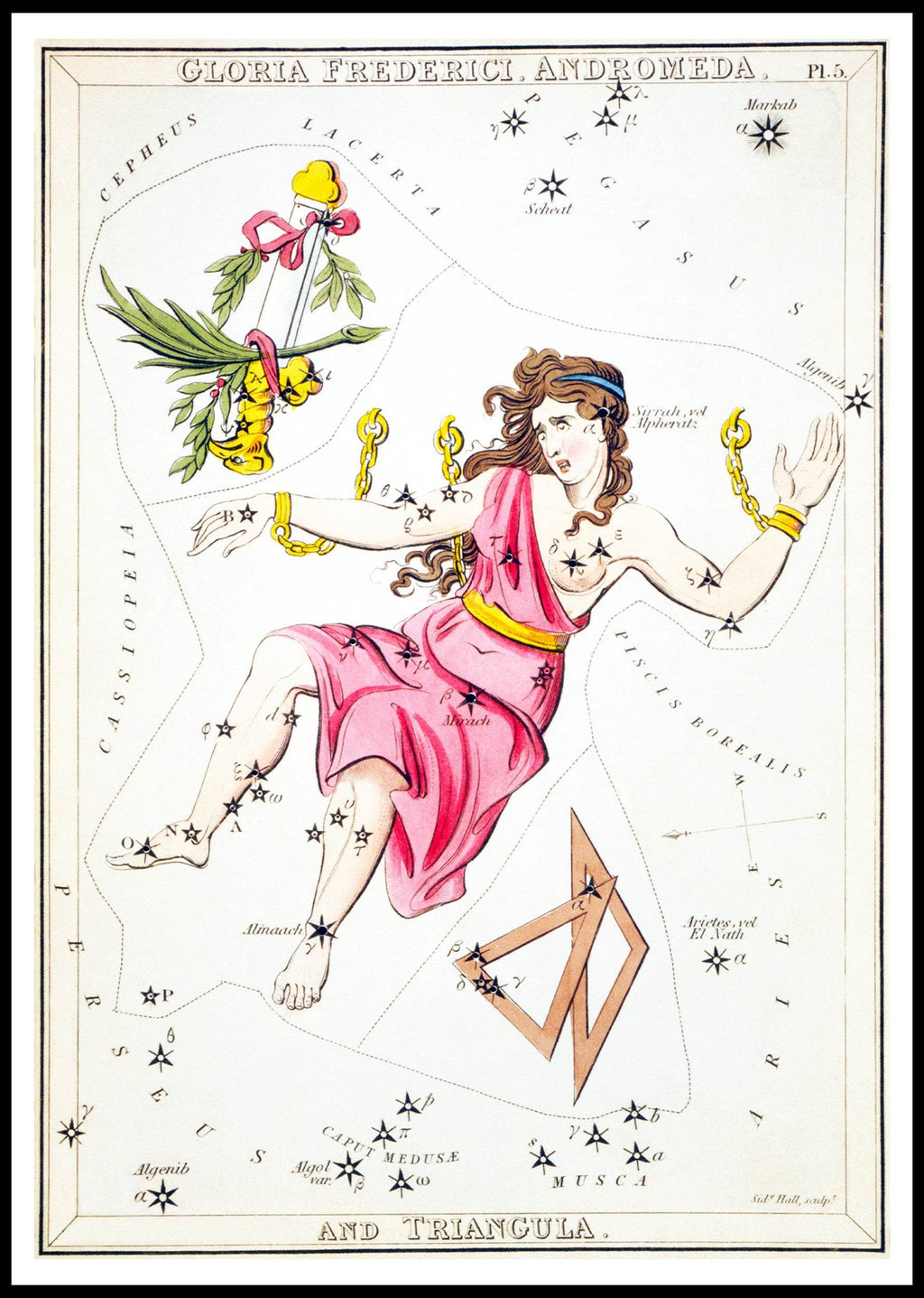 Gloria Frederici, Andromeda, and Triangula - Hakyarts
