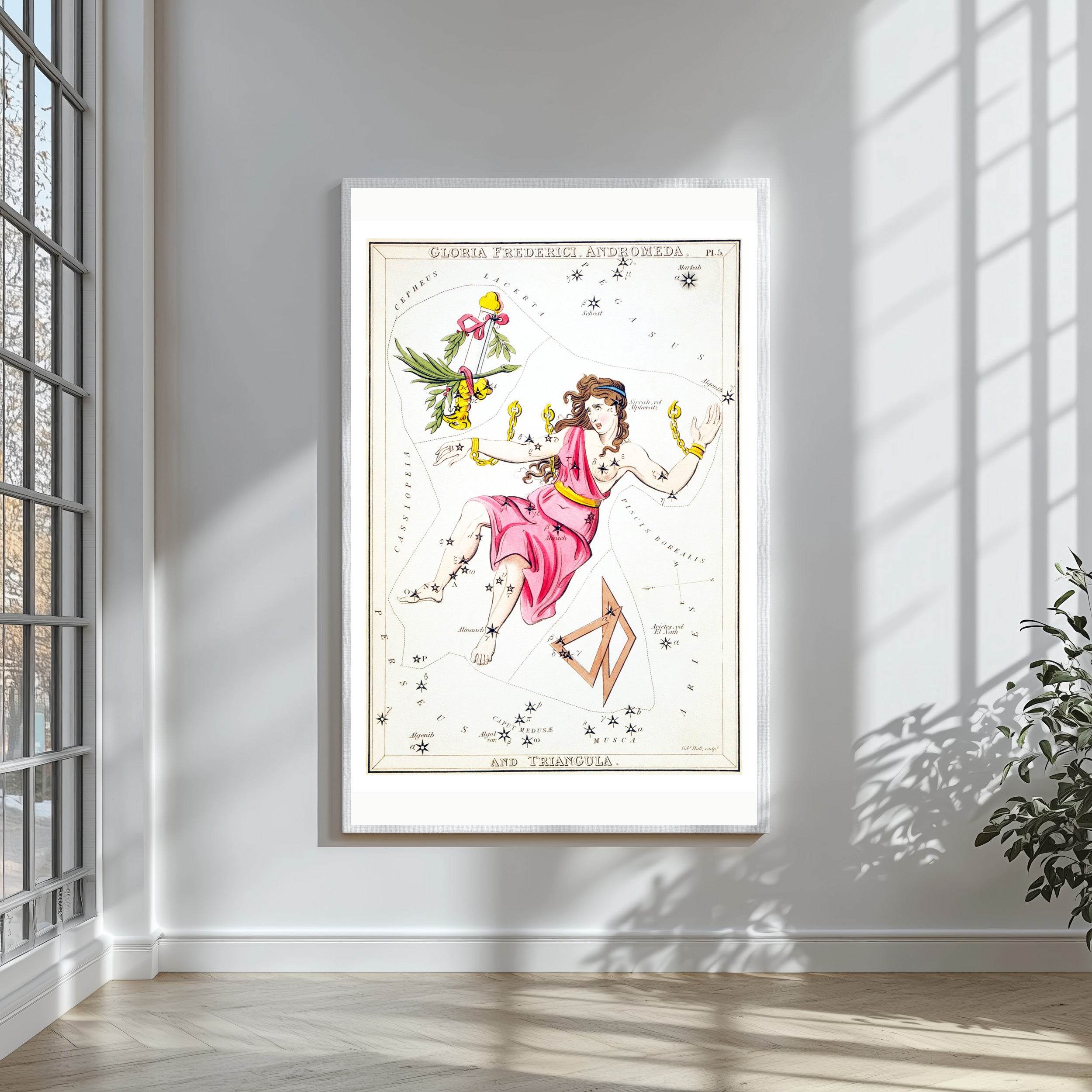 Gloria Frederici, Andromeda, and Triangula - Hakyarts