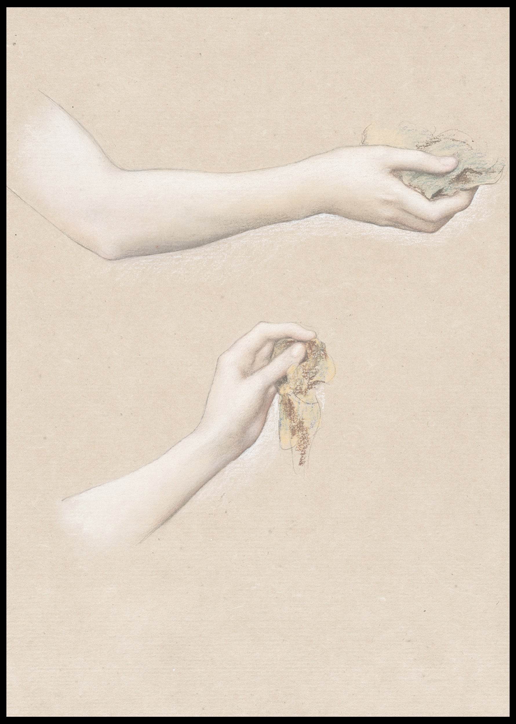 Autumn Meadows - Hakyarts