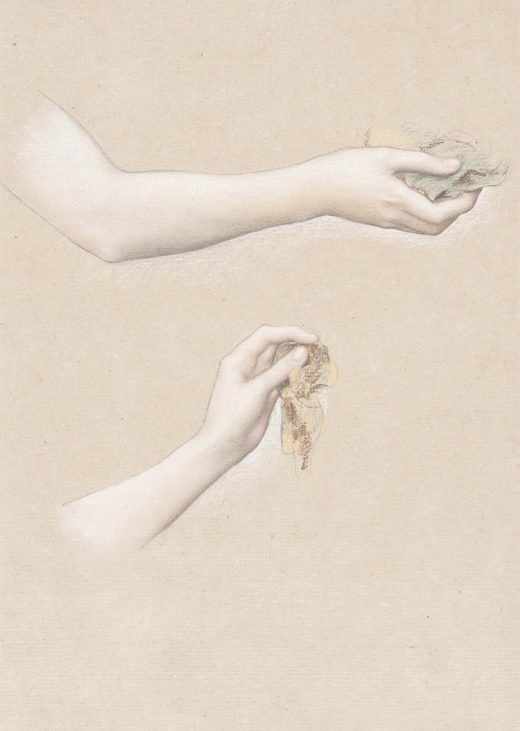 Autumn Meadows - Hakyarts