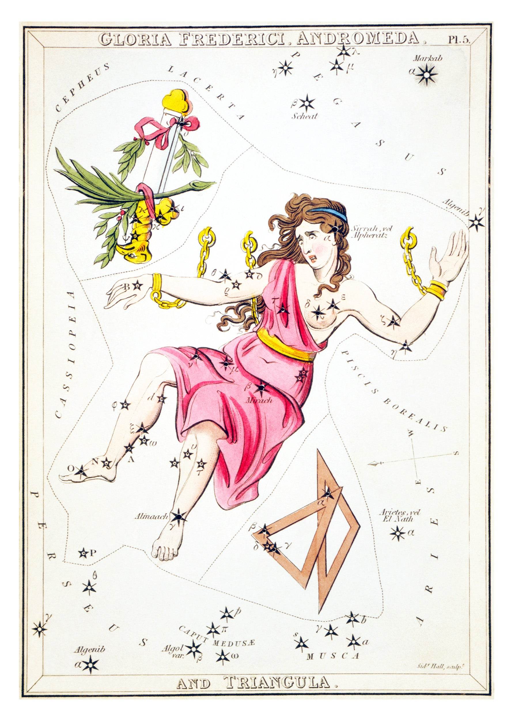 Gloria Frederici, Andromeda, and Triangula - Hakyarts