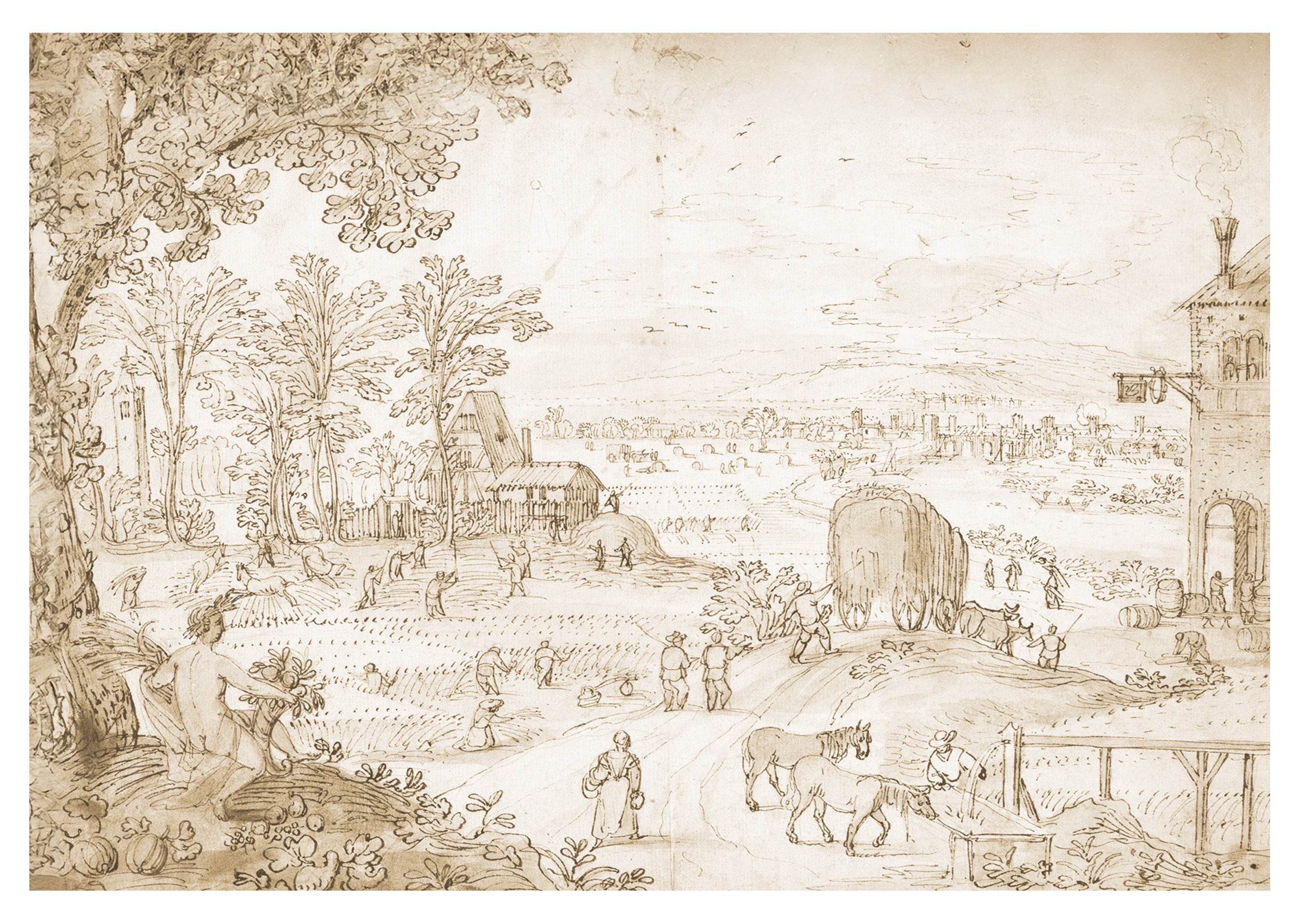 Summer Harvest in an Extensive Landscape - Hakyarts