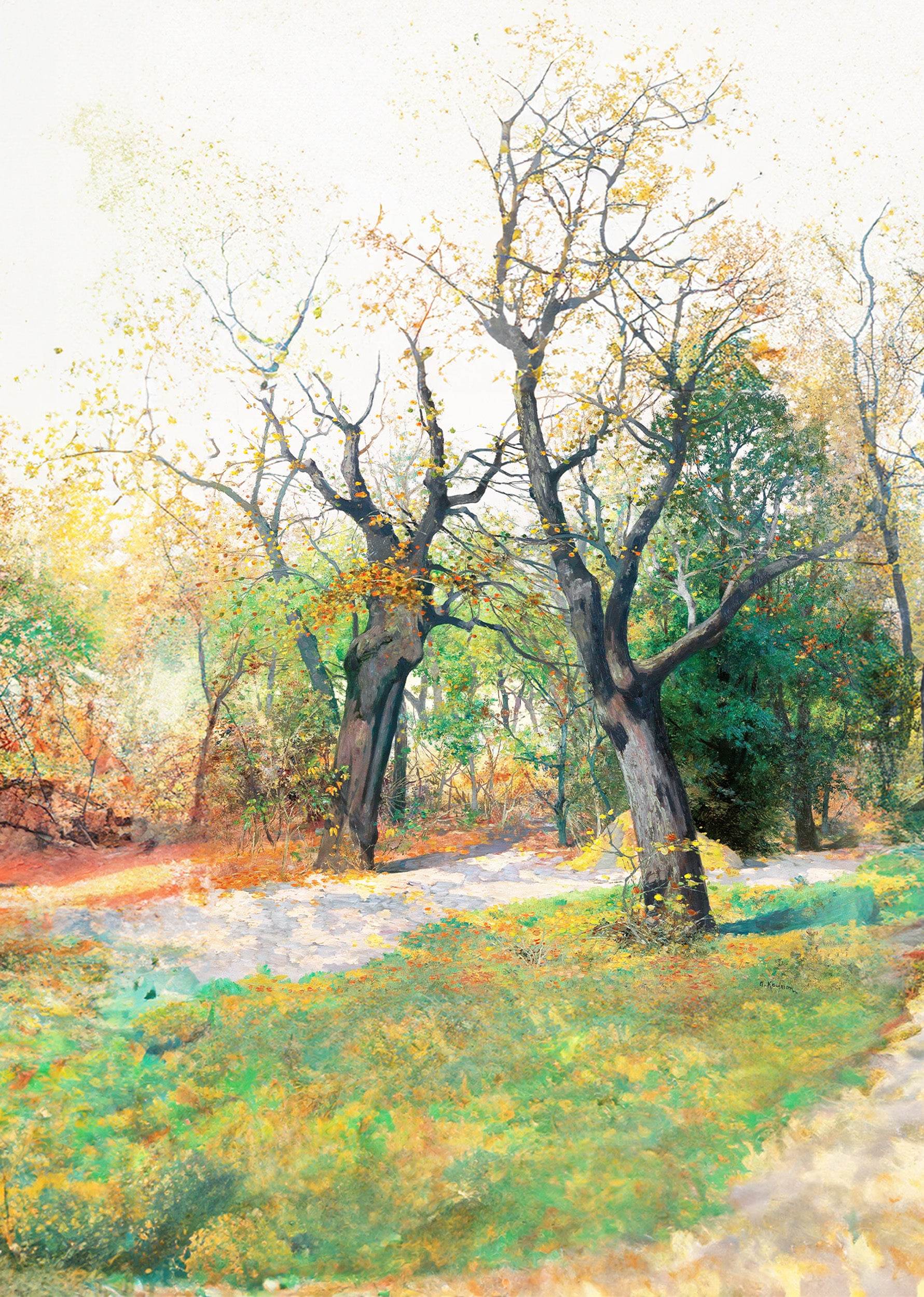 Autumn Morning - Hakyarts