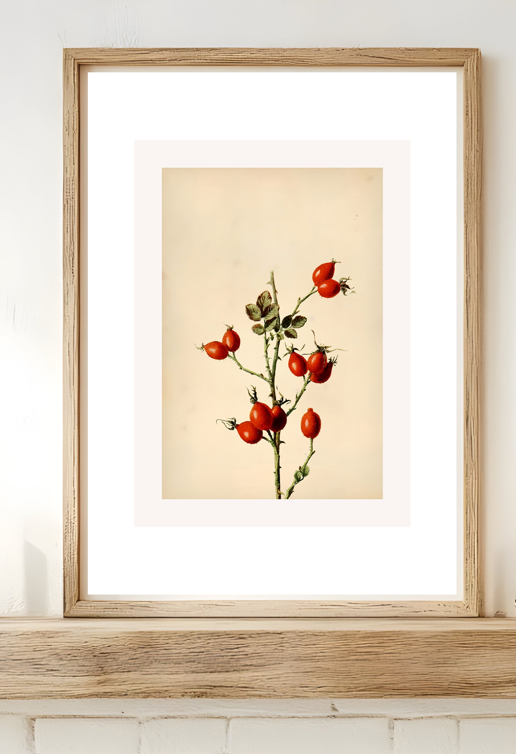 Red Blossoms  Vintage Botanical Floral Poster