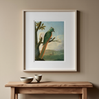 Blauscheitelmotmot by Albert Eckhout – Exotic Bird Illustration Art Print - Hakyarts