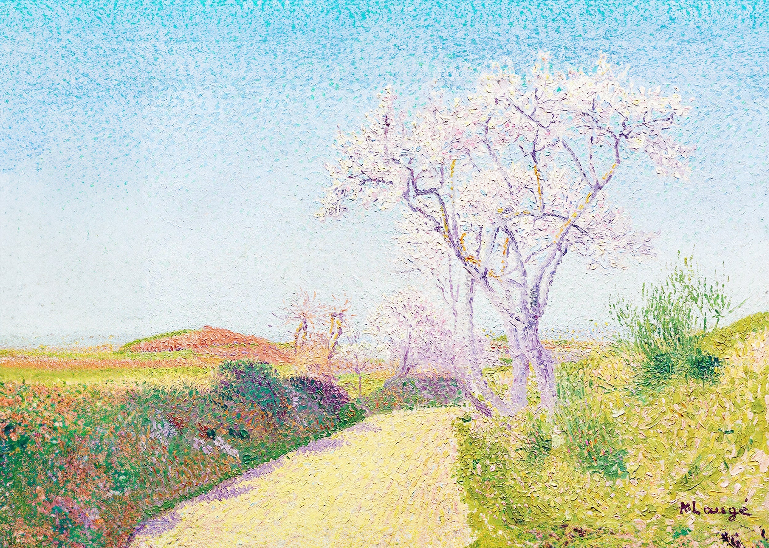 La Route Aux Amandiers Fleuris