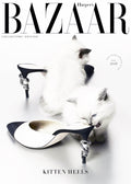 Vintage Harper Bazaar Poster - Hakyarts