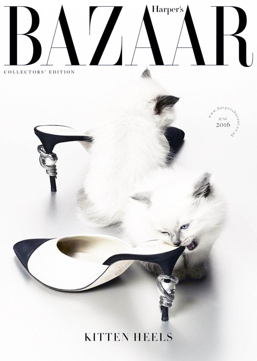 Vintage Harper Bazaar Poster - Hakyarts