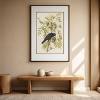American Crow by John James Audubon – Ornithological Art Print