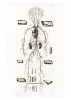 Anatomia Humani Corporis Pl.024 - Hakyarts
