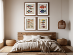 Louis Renard – Vibrant Ocean Life Collection