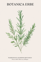 6 Mix & Match Floral Prints | Botanical Wall Art Collection - Hakyarts